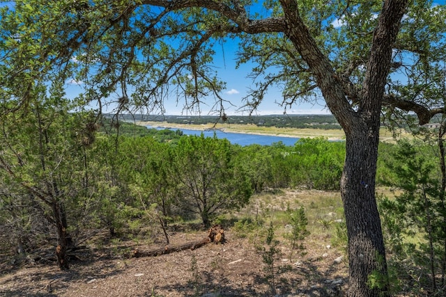 Listing photo 2 for 10 Thurman Bluff Dr, Spicewood TX 78669