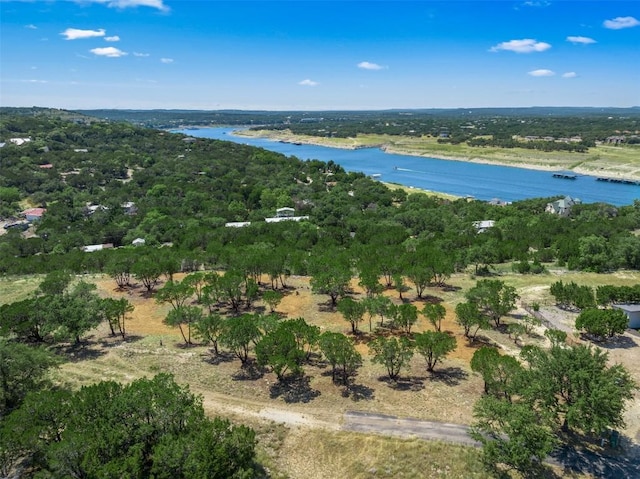 10 Thurman Bluff Dr, Spicewood, TX 78669 - photo 2