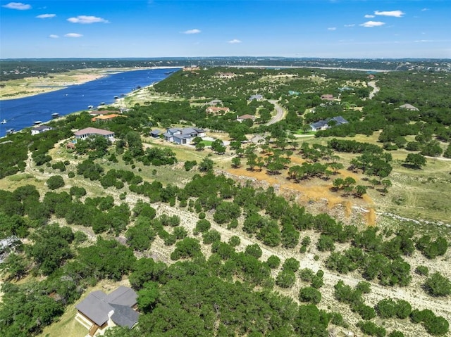 10 Thurman Bluff Dr, Spicewood, TX 78669 - photo 26