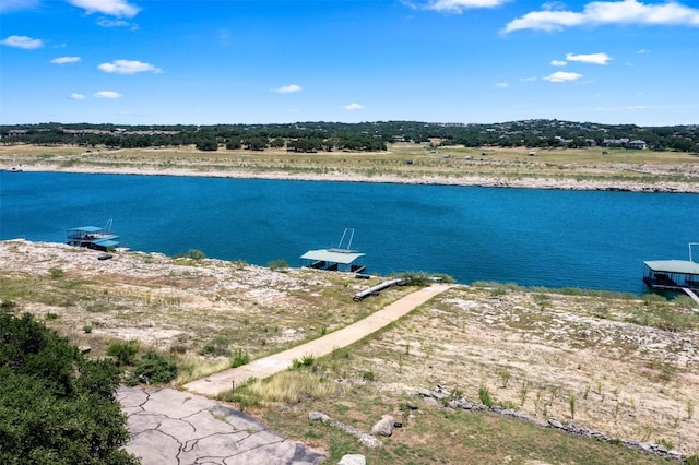 10 Thurman Bluff Dr, Spicewood, TX 78669 - photo 19
