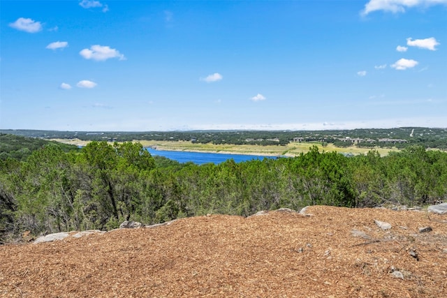 Listing photo 3 for 10 Thurman Bluff Dr, Spicewood TX 78669