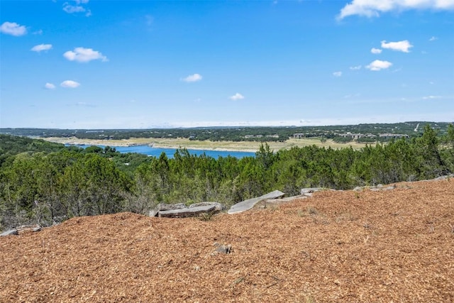 10 Thurman Bluff Dr, Spicewood, TX 78669 - photo 10