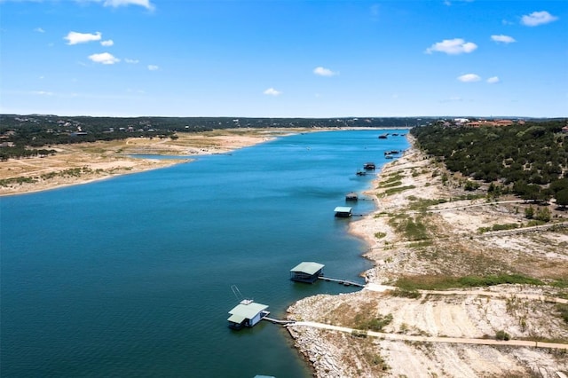 10 Thurman Bluff Dr, Spicewood, TX 78669 - photo 4