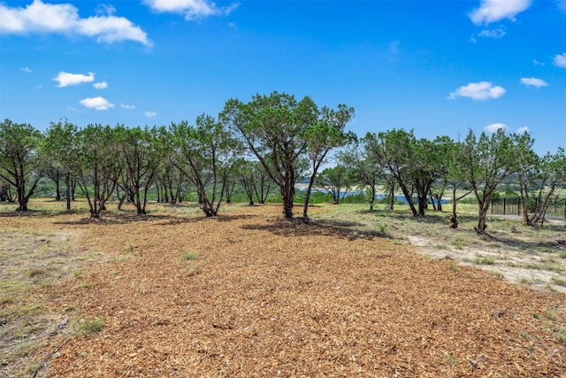10 Thurman Bluff Dr, Spicewood, TX 78669 - photo 11