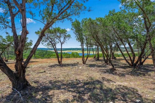 10 Thurman Bluff Dr, Spicewood, TX 78669 - photo 9