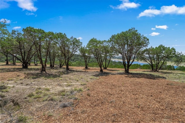 10 Thurman Bluff Dr, Spicewood, TX 78669 - photo 21
