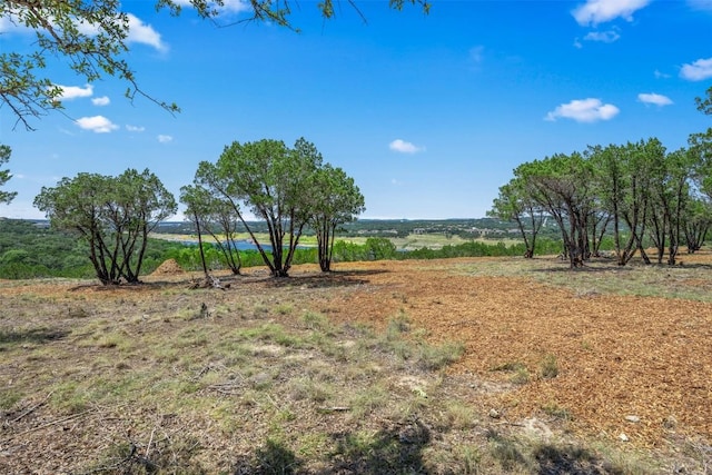 10 Thurman Bluff Dr, Spicewood, TX 78669 - photo 8