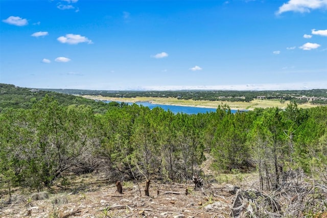 10 Thurman Bluff Dr, Spicewood, TX 78669 - photo 22