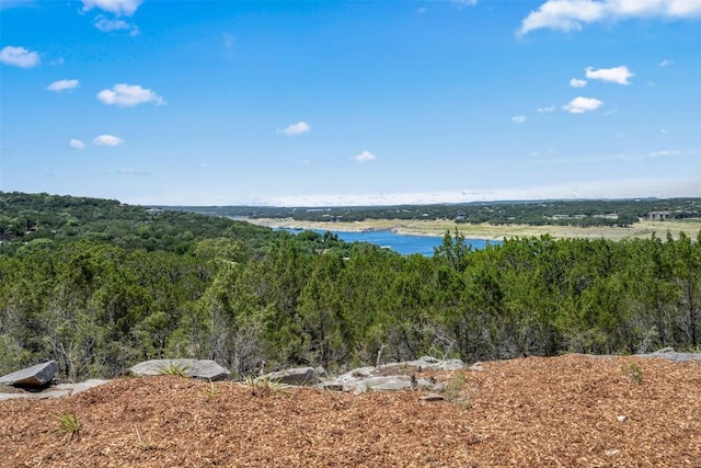 10 Thurman Bluff Dr, Spicewood, TX 78669 - photo 23