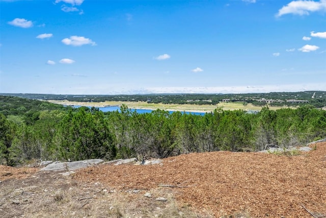 10 Thurman Bluff Dr, Spicewood, TX 78669 - photo 24