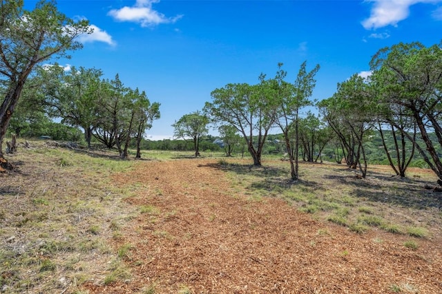 10 Thurman Bluff Dr, Spicewood, TX 78669 - photo 12