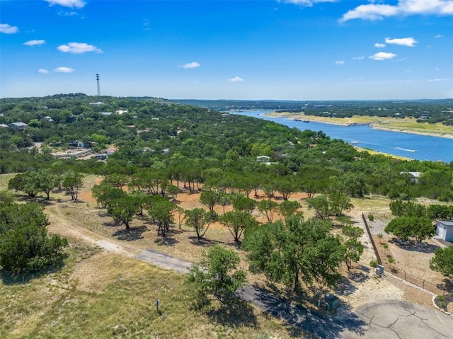 10 Thurman Bluff Dr, Spicewood, TX 78669 - photo 15