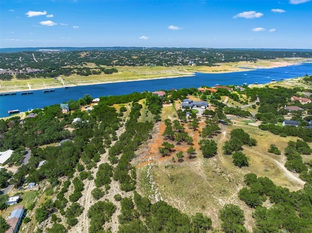 10 Thurman Bluff Dr, Spicewood, TX 78669 - photo 14