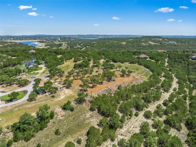 10 Thurman Bluff Dr, Spicewood, TX 78669 - photo 27