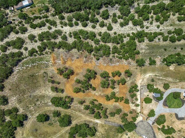 10 Thurman Bluff Dr, Spicewood, TX 78669 - photo 28