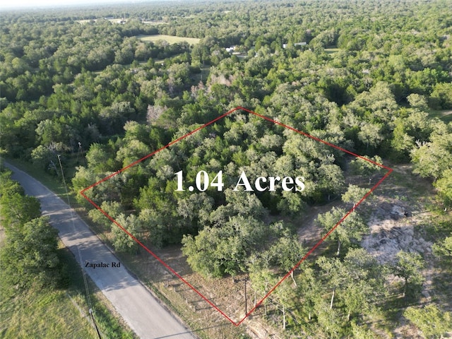 TBDLOT1 Zapalac Rd, Smithville TX, 78957 land for sale