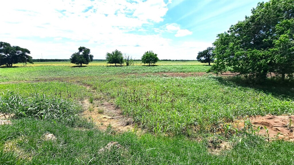 TRACT3 County Road 432nd Rd, Rockdale, TX 76567 - photo 4