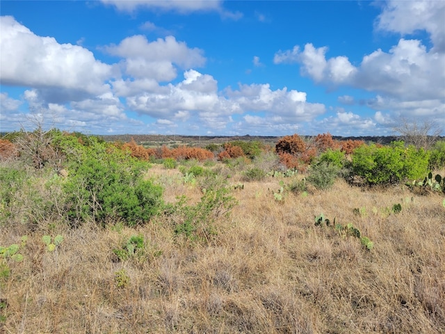 Listing photo 2 for TBD Fm 1855 Highway, Marble Falls TX 78654