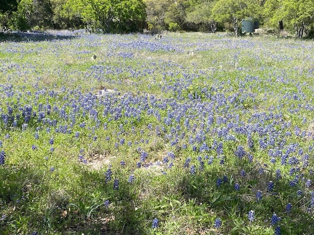 view of nature