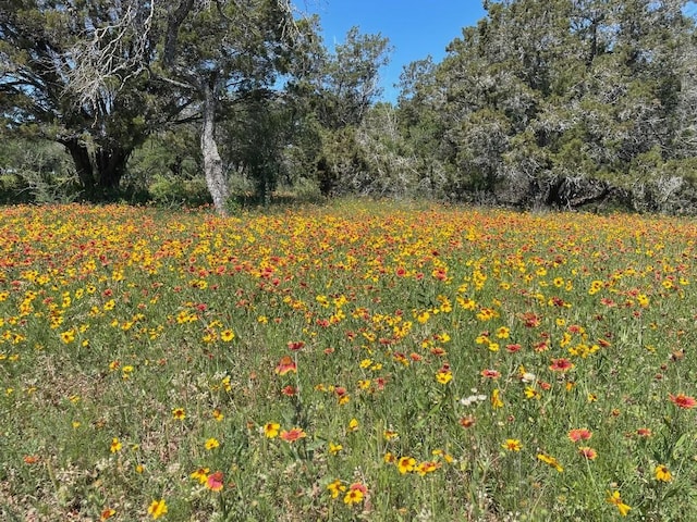 view of nature