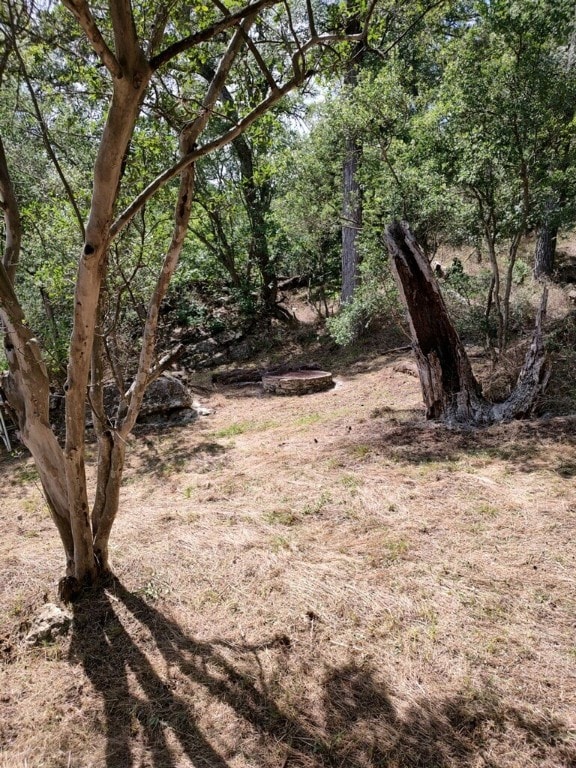 view of landscape