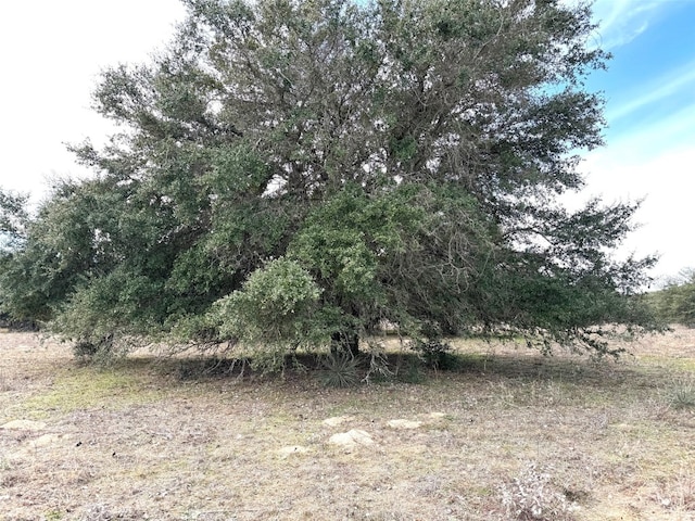 000A Buck Branch Rd, Waelder TX, 78959 land for sale