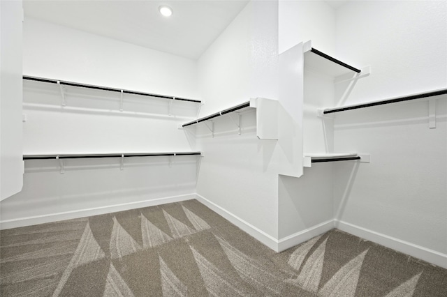 spacious closet featuring carpet