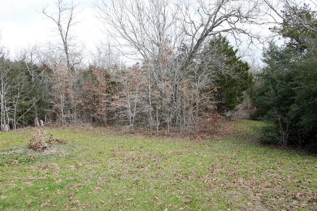 8729 E Fm 20th Hwy, Dale, TX 78616 - photo 13