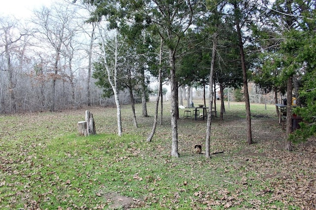 8729 E Fm 20th Hwy, Dale, TX 78616 - photo 3