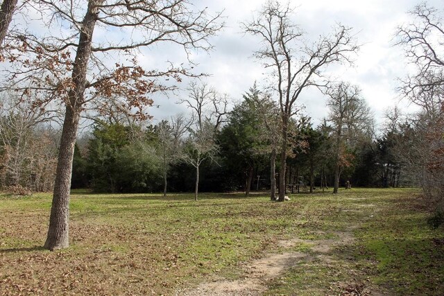 8729 E Fm 20th Hwy, Dale, TX 78616 - photo 7