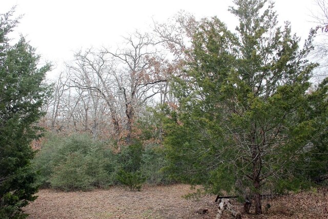 8729 E Fm 20th Hwy, Dale, TX 78616 - photo 5