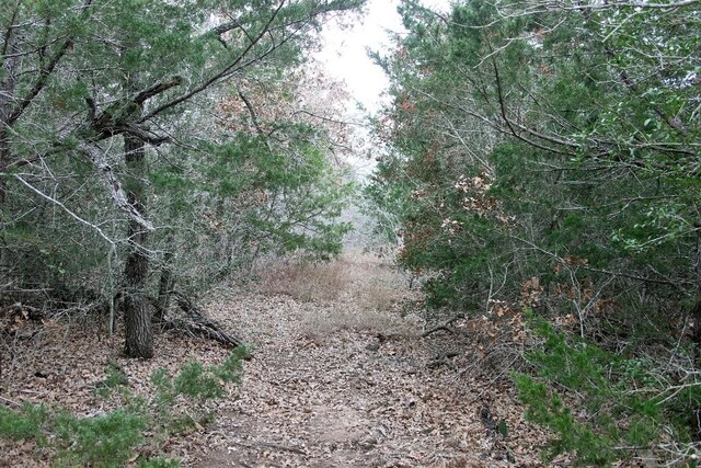 8729 E Fm 20th Hwy, Dale, TX 78616 - photo 6