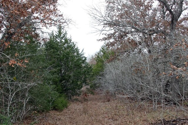 8729 E Fm 20th Hwy, Dale, TX 78616 - photo 9
