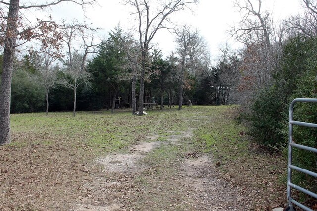 8729 E Fm 20th Hwy, Dale, TX 78616 - photo 11