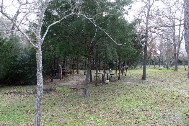 8729 E Fm 20th Hwy, Dale, TX 78616 - photo 12