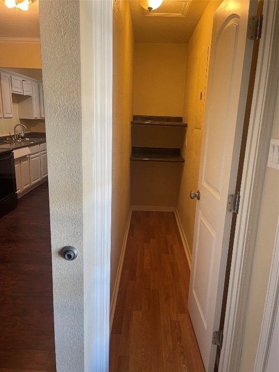 hallway with dark hardwood / wood-style floors and sink