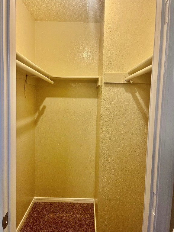 spacious closet featuring carpet floors