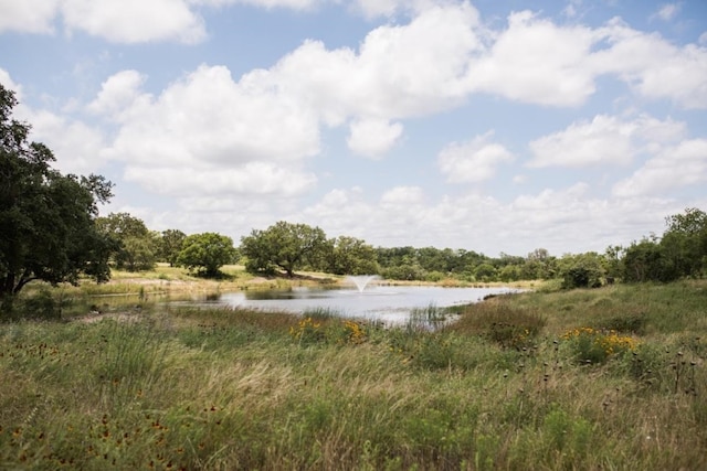 property view of water