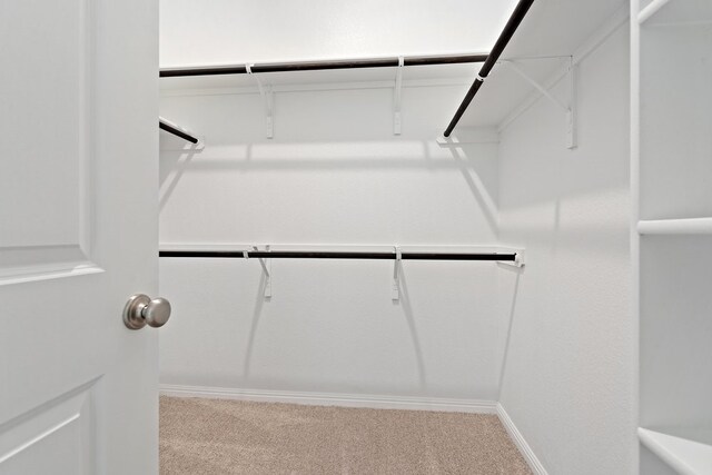 spacious closet with light colored carpet