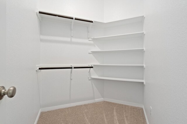 walk in closet featuring carpet flooring