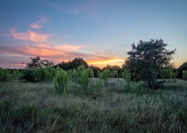 Listing photo 3 for LOT185 Three Creeks Dr, Bertram TX 78605