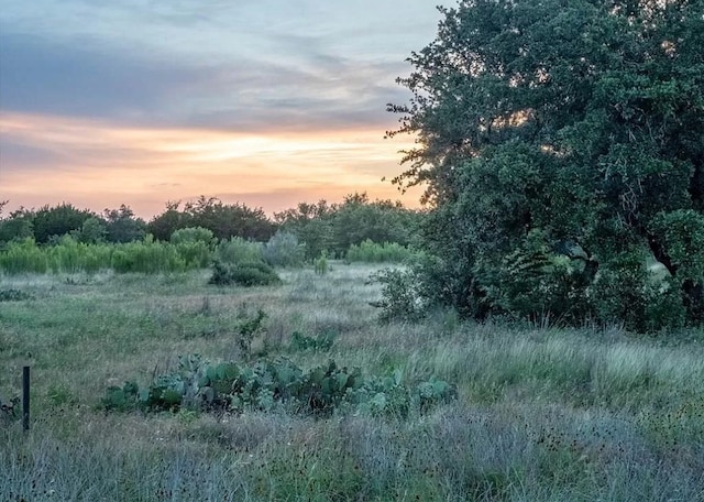 LOT185 Three Creeks Dr, Bertram, TX 78605 - photo 11