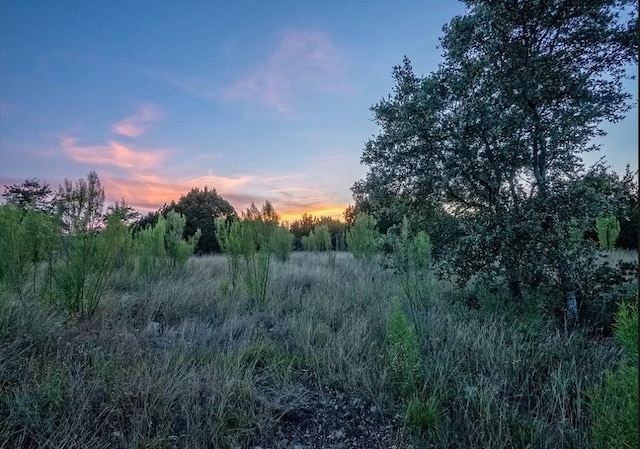 LOT185 Three Creeks Dr, Bertram, TX 78605 - photo 9