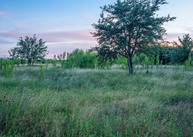 LOT185 Three Creeks Dr, Bertram, TX 78605 - photo 6