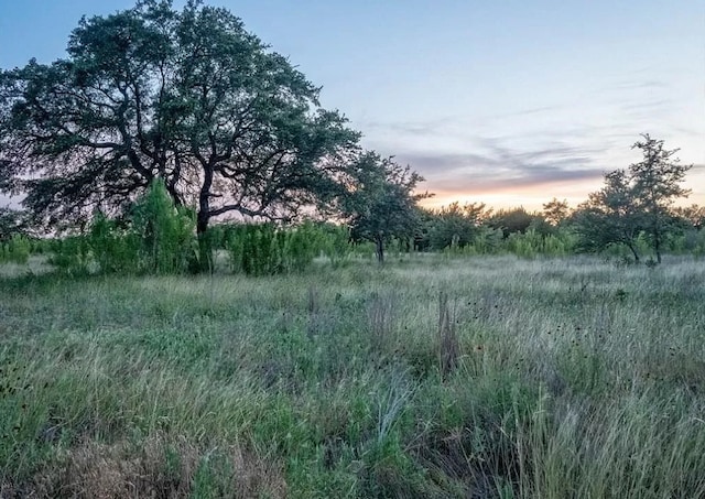 LOT185 Three Creeks Dr, Bertram, TX 78605 - photo 7