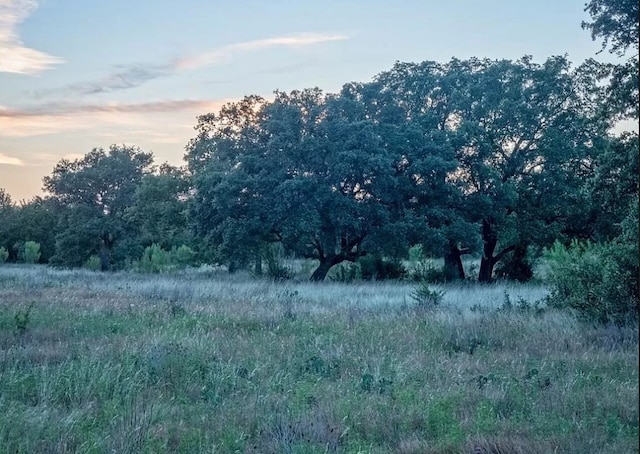 LOT185 Three Creeks Dr, Bertram, TX 78605 - photo 10