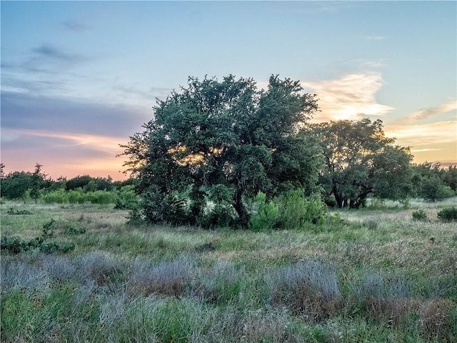 LOT185 Three Creeks Dr, Bertram, TX 78605 - photo 12