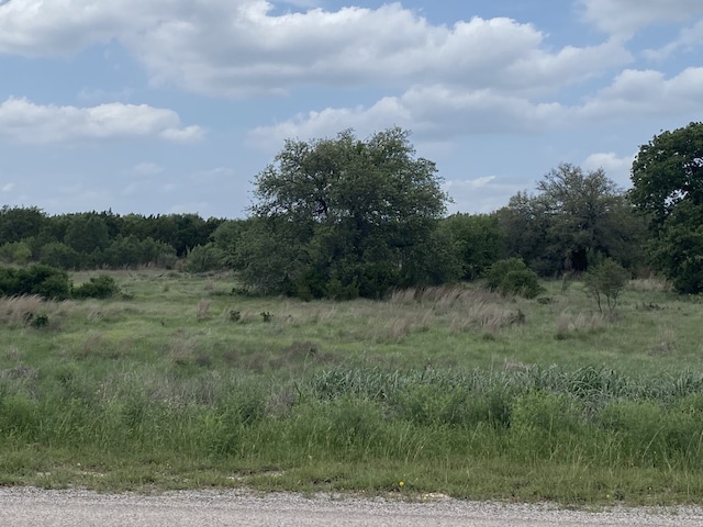 LOT185 Three Creeks Dr, Bertram, TX 78605 - photo 5