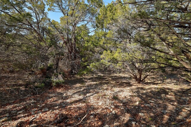 21005 Northland Dr, Lago Vista, TX 78645 - photo 1