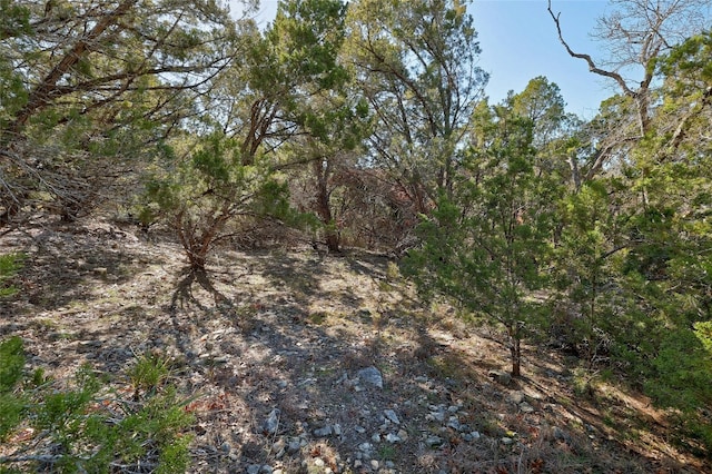 21005 Northland Dr, Lago Vista, TX 78645 - photo 2
